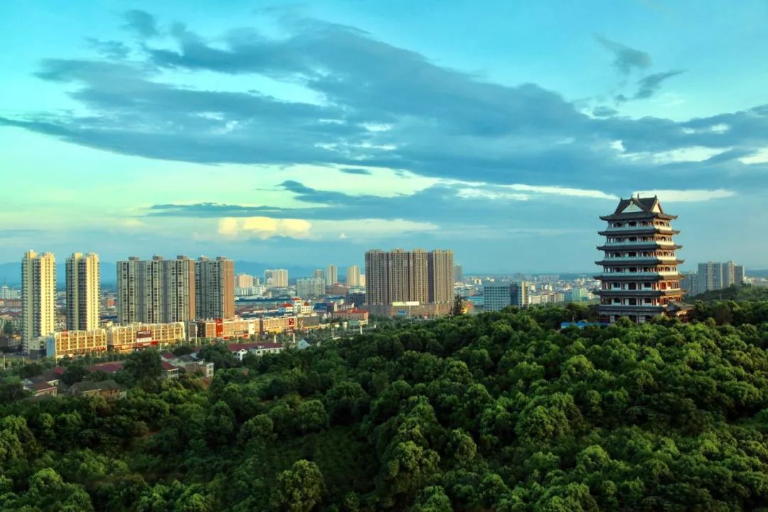 新时代之光 | 桐花香里访攸州