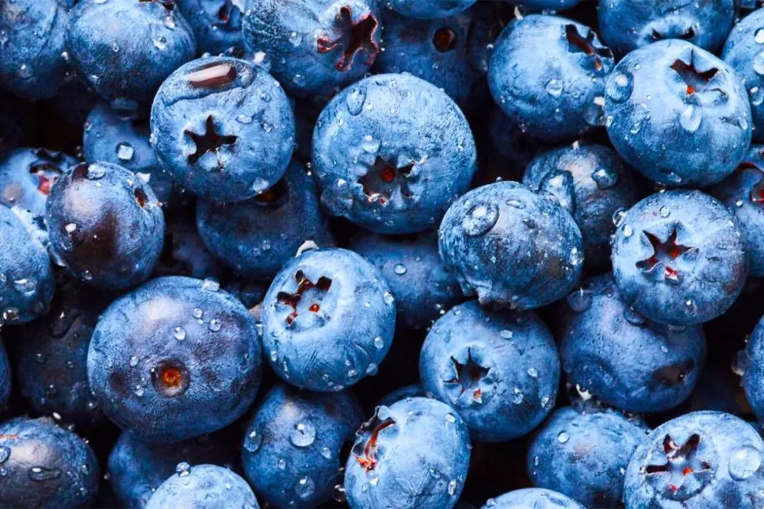 能护眼的蓝莓奶片!每天吃 3 粒,轻松补充叶黄素
