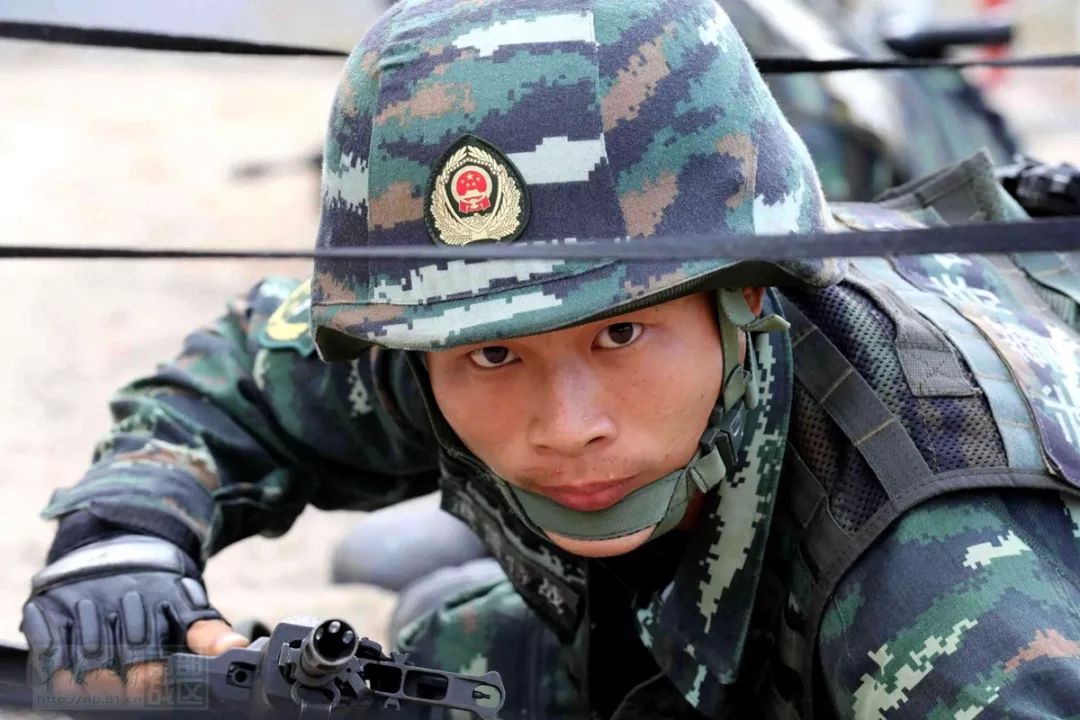 小老虎贺聪:动如脱兔 静如处子