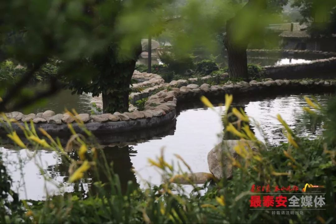 对标先进,奋力追赶!一张图读懂泰安发展着力点