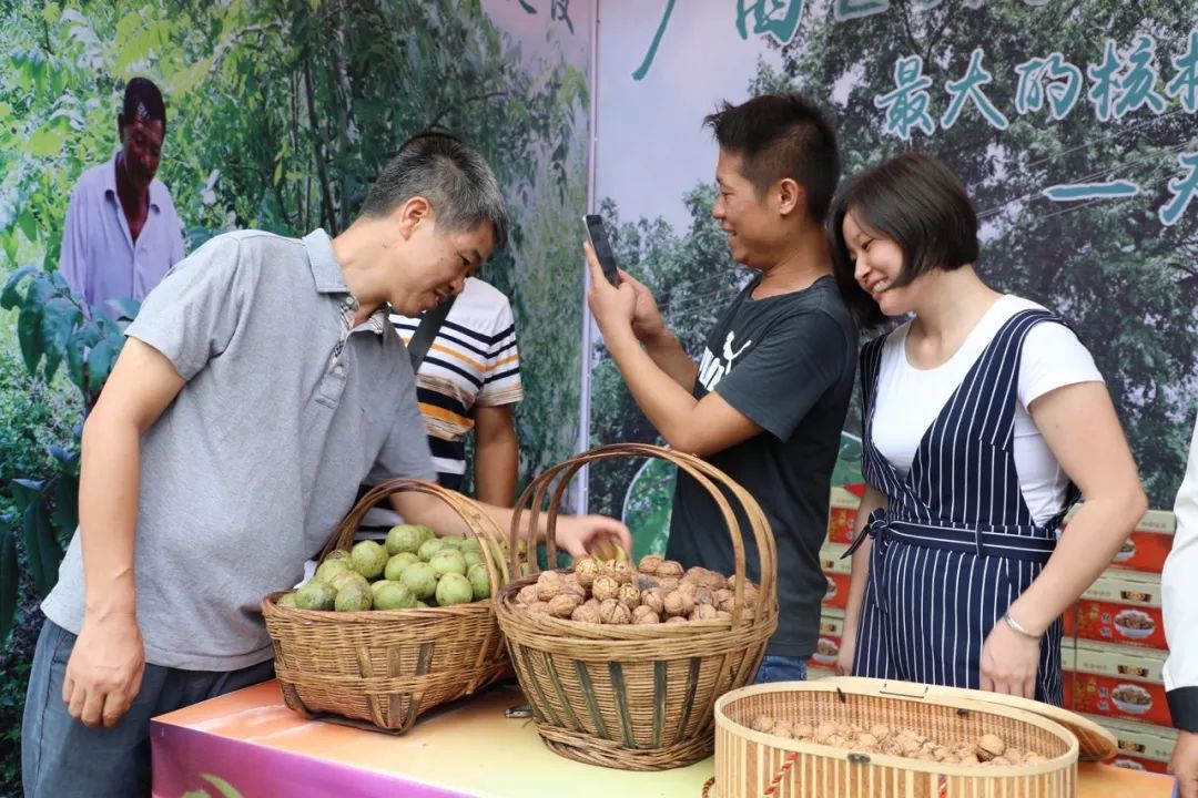 李果飘香迎贵客，“天峨有李”庆祝2018年中国农民丰收节暨党旗领航·电商扶贫“我为家乡代言”电商大集盛大开幕
