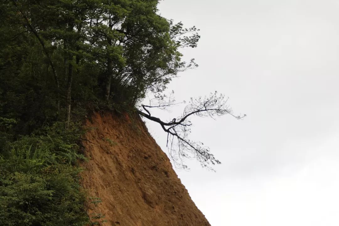 调查丨百亿项目之败 警惕文旅地产下乡挖山毁