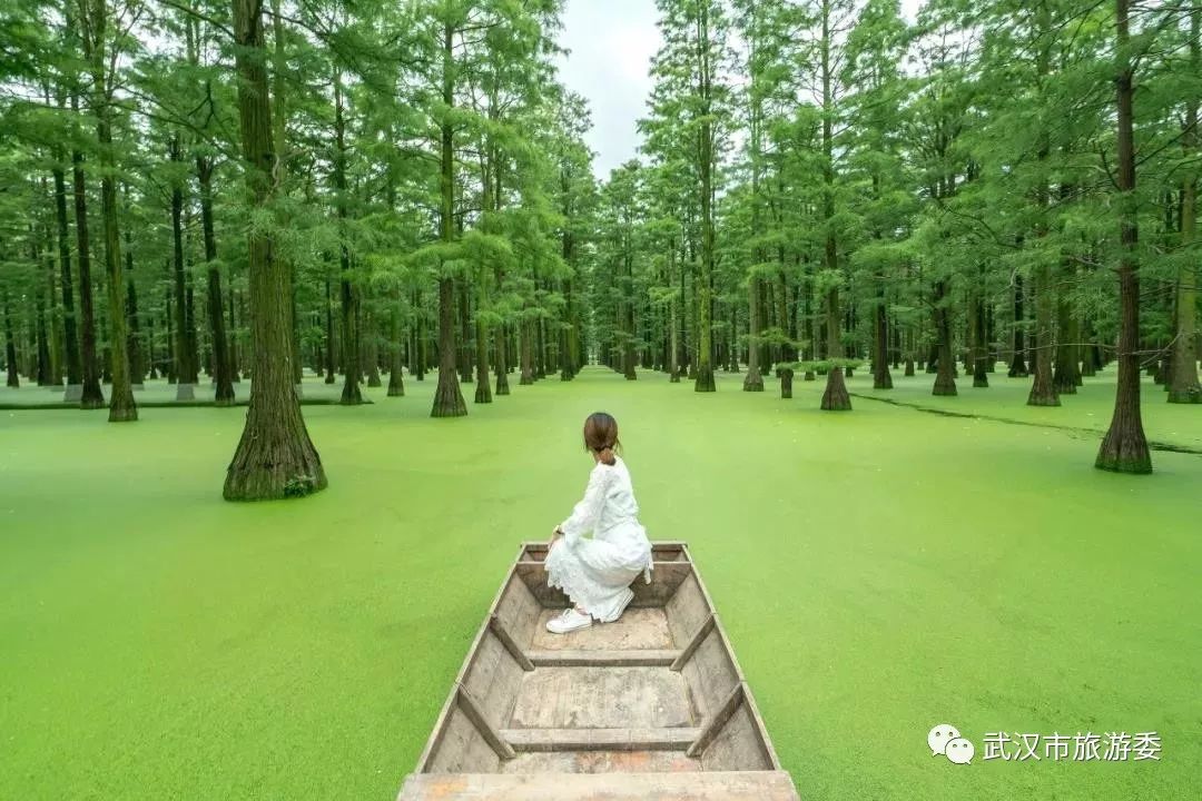 火遍抖音的武汉网红景点,来武汉不容错过!