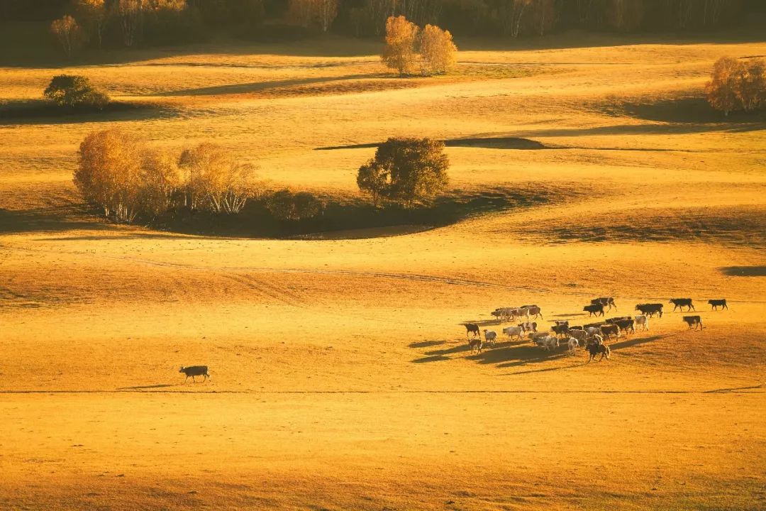 这片草原拥有秋天最浓郁的色彩,也是清宫剧中每年木兰秋狝的地方