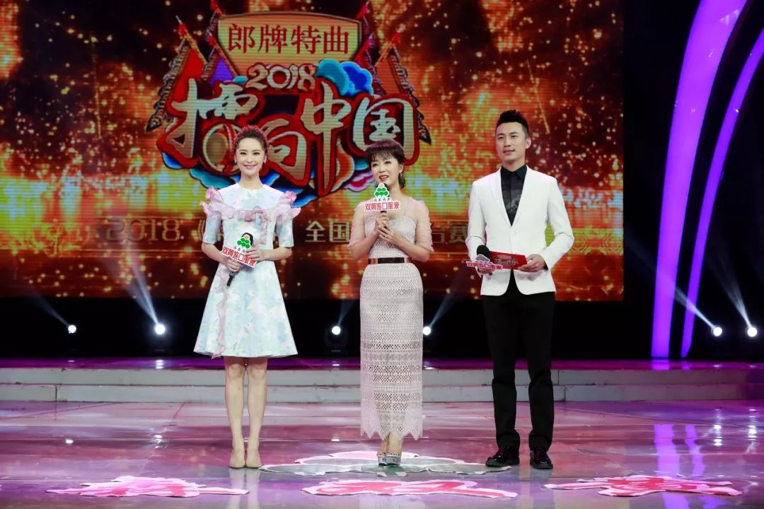 《梨园春》2018擂台赛少儿半决赛投票通道