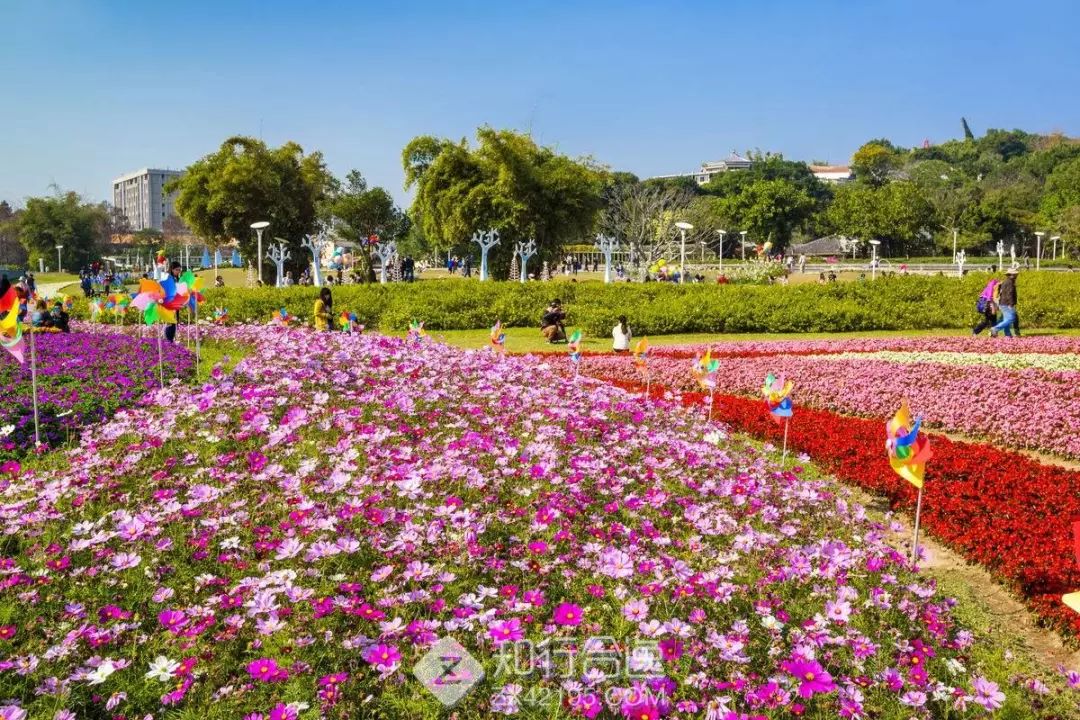 台湾丨2019台北渣打马拉松报名截止!宝岛最大