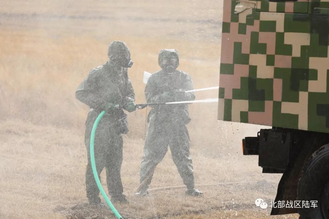 花粉季将至！北京主动出击给圆柏戴“隐形口罩”