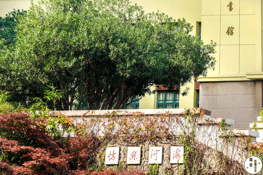 河海大学，美不哭你算我输！