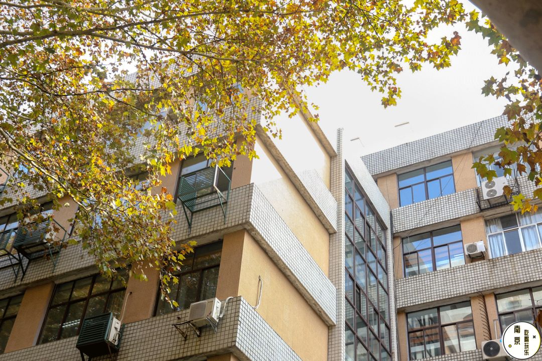 河海大学，美不哭你算我输！