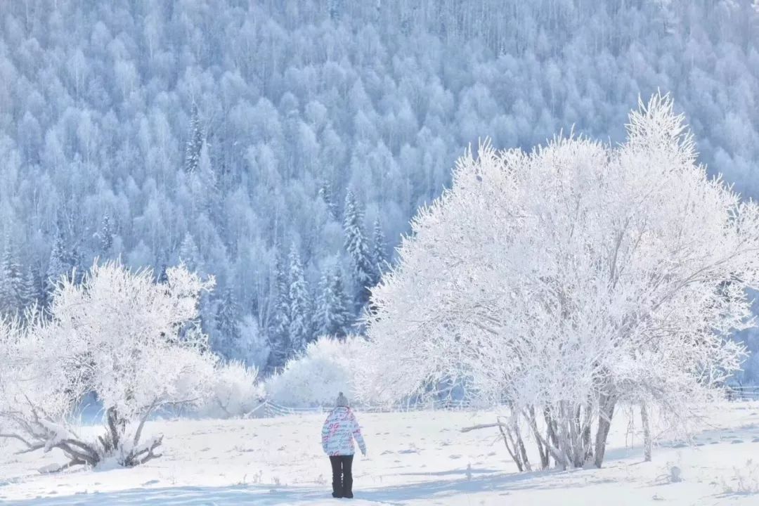 冬季有没有吃了令人很暖和的菜色推荐？