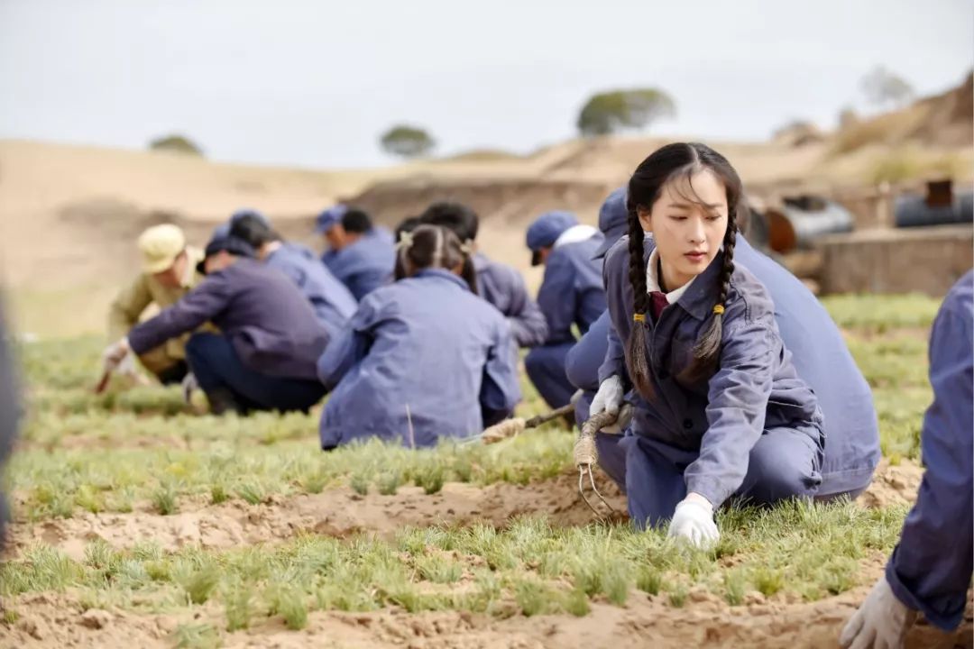 90后青年演员开荒种树演绎《最美的青春》,山东卫视今晚开播!