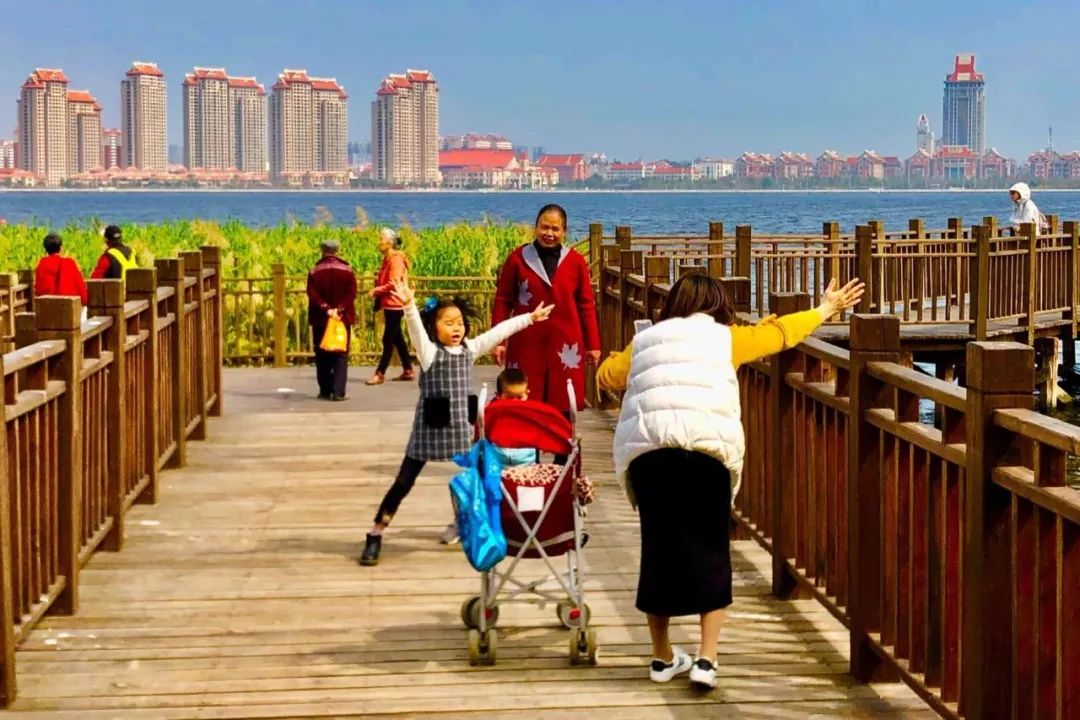 小民生大幸福!厦门集美"绿洲计划"结出民生硕果【视频