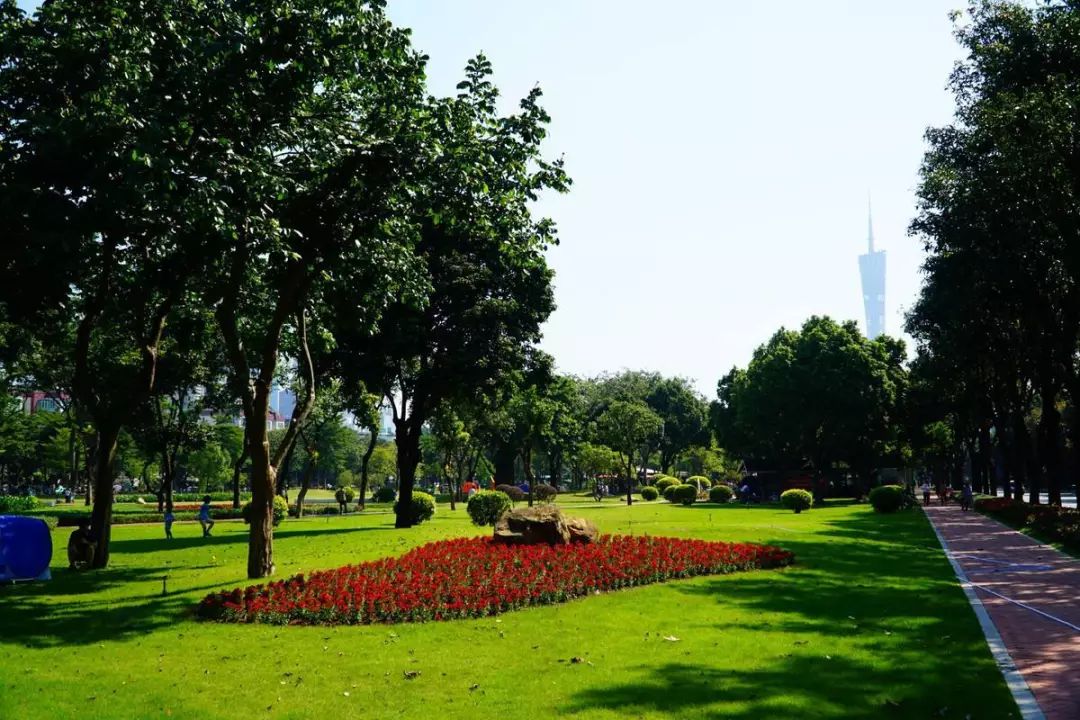 阳光、大草坪、美食.一起打卡广州冬日晒太阳