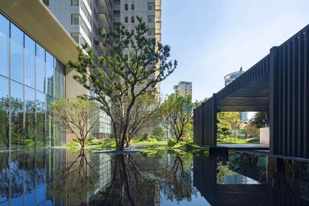 ag有什么游戏 - 本土品牌的“资源诅咒”,回归产品本身才是唯一的出路