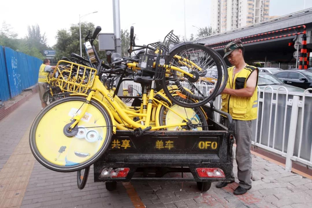 新宝gg赚钱吗·江边小河坐钓,谁知误入鲢鱼窝...