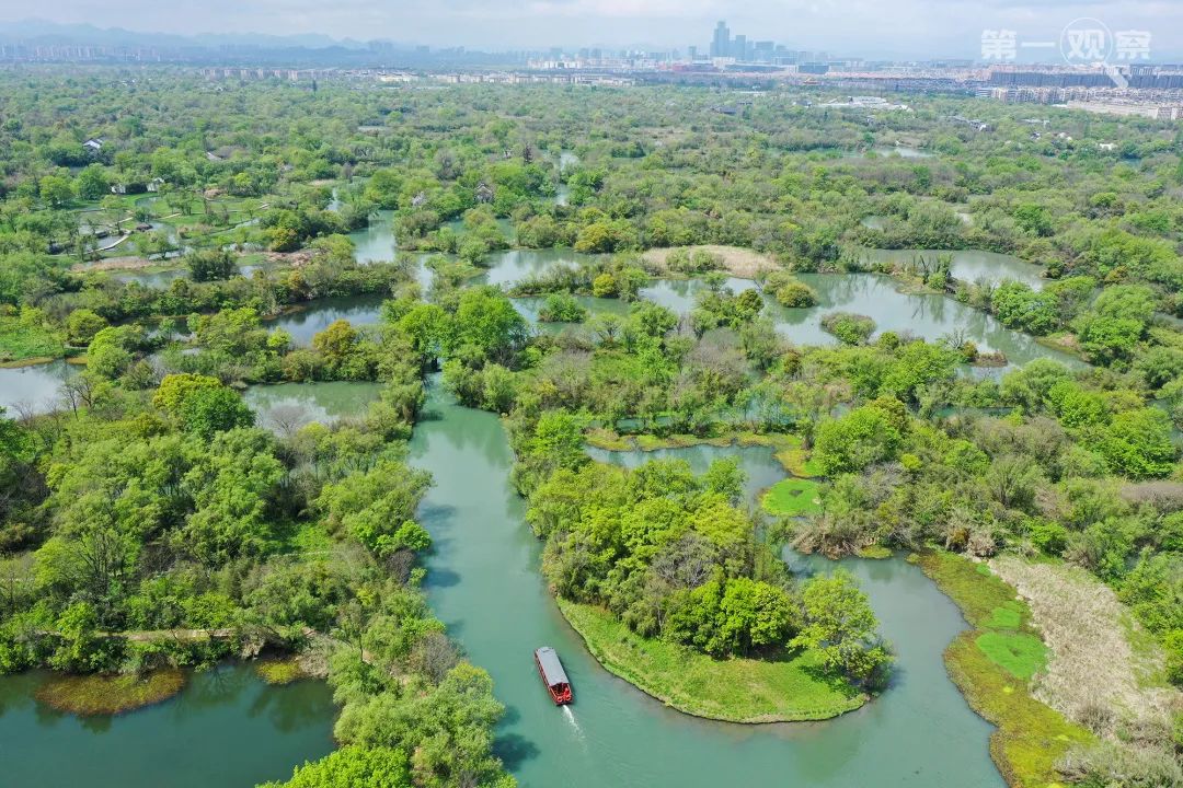 ↑游船行驶在浙江杭州西溪湿地水道上(2020年4月1日摄,无人机照片)。新华社记者 翁忻旸 摄