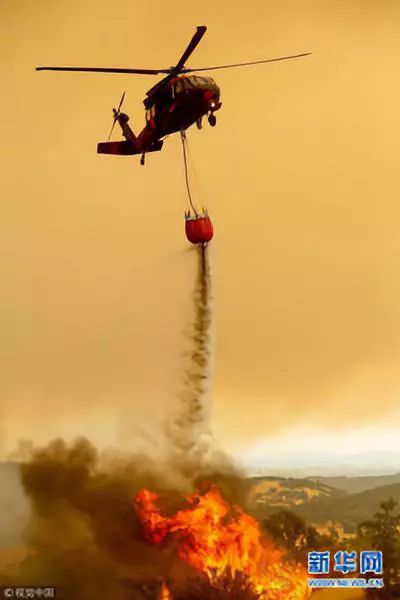 人类快要热死了!特朗普的退群效应又遭网友