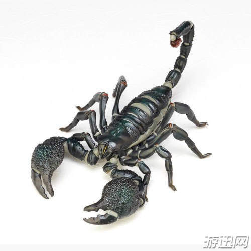 日本1:1帝王蝎手办开启预购 造型逼真,售价约467元