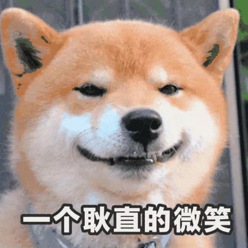 比起主CP 松田翔太千叶雄大感情线更受关注