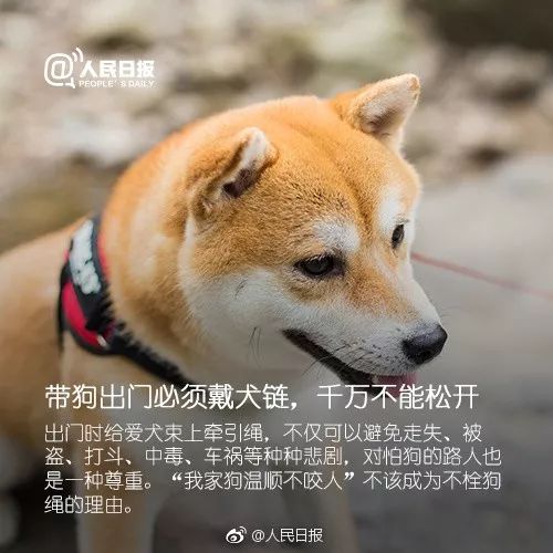 触目惊心 广西5岁男童被恶犬撕咬6分钟 伤口从眉