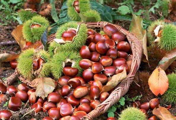 最新批复!苏南沿江高铁要来了,未来上海1小时