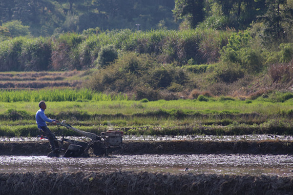 专访原农业部副部长陈晓华:为何我国农产品进