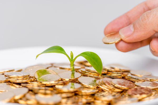 从教育到大消费:PE大基金钟情平台投资背后