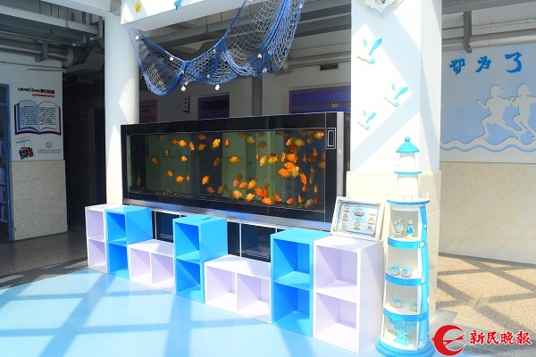 有趣,留学生来上英语课!临港儿童大学发展步入