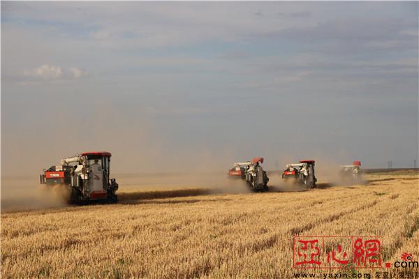 吉木萨尔县老台乡各方合力保障2018年夏粮增