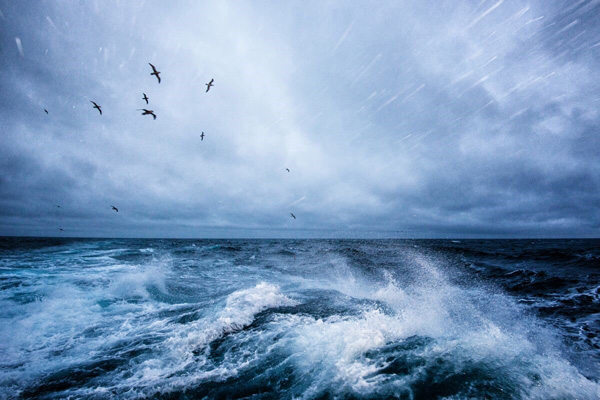 读图丨BBC高分纪录片《蓝色星球2》里都用了