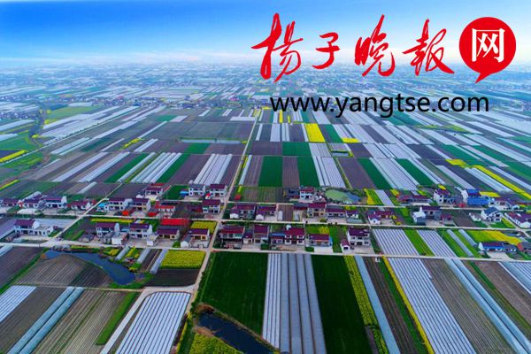 21个项目集中签约!东台在昆山成功举办现代农