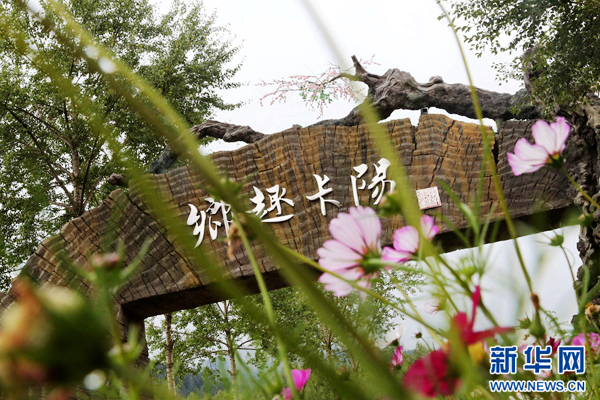 青海卡阳村:党建引领 村集体经济项目实现破零