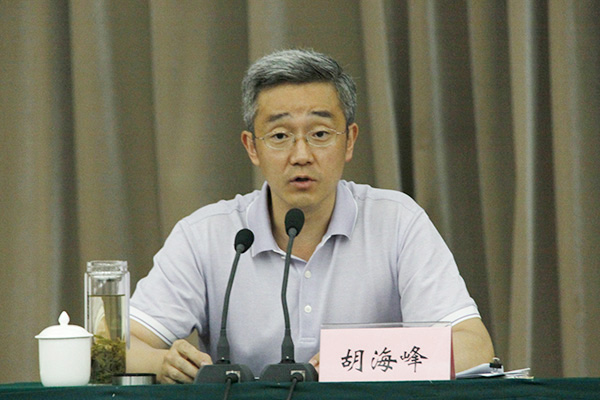 丽水市委书记胡海峰:以丽水之干践行总书记