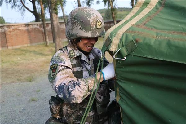 什么嘶风成语_什么风拂面四字成语