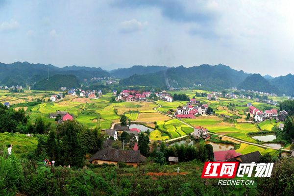 加义镇人口_人口普查图片