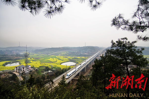 萱洲镇人口_萱洲镇图片