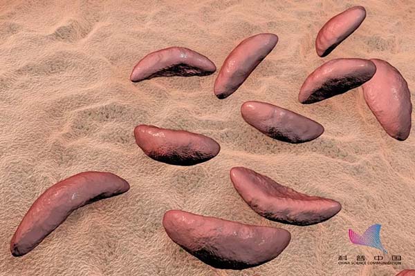 养猫可能会导致精神分裂？背后的原因细思极恐