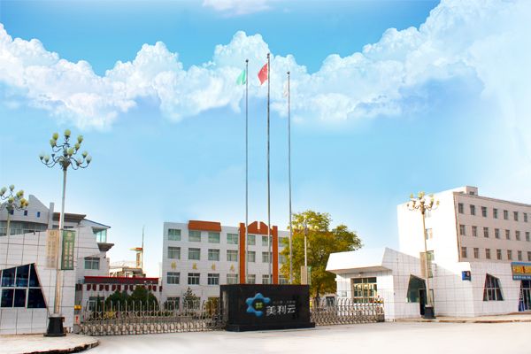 线上娱乐花呗充值 - 中国科技发展有多快?有一个年份非常关键,中国驶上超车道