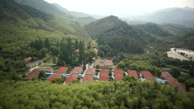 带着麻风休养员的心声，她来了