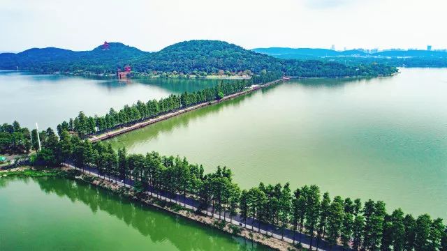 美武汉人口_武汉地铁出人口图片