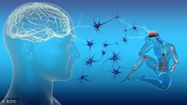 心理测试 | 你大脑的反应力有多快?