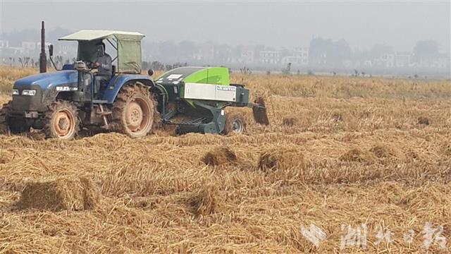 常态化禁烧模式基本形成 荆州秸秆禁烧经验示