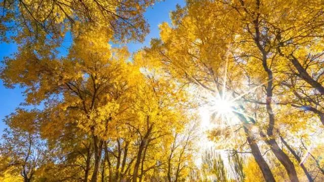 甘肃25个美到你不想回家的地方 你都去过几个?(图4) 甘肃25个美到你不想回家的地方 你都去过几个?(图4)