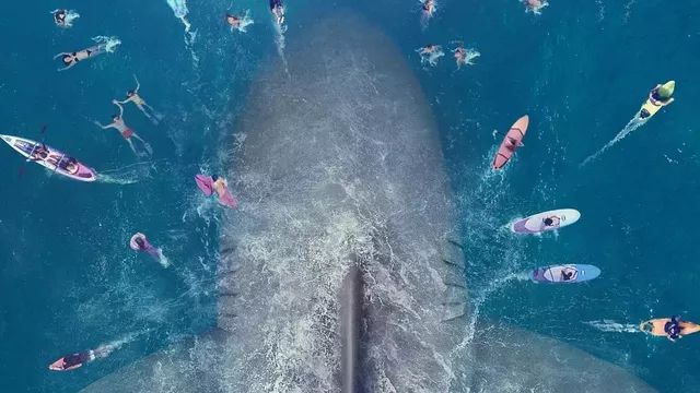 巨齿鲨|巨齿|李冰冰_新浪新闻