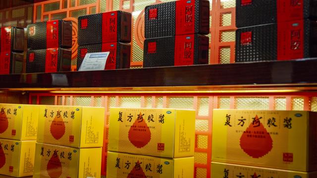 注册pt老虎送体验金|高速路上一车肥猪跑散 交警连夜抓捕“二师兄”