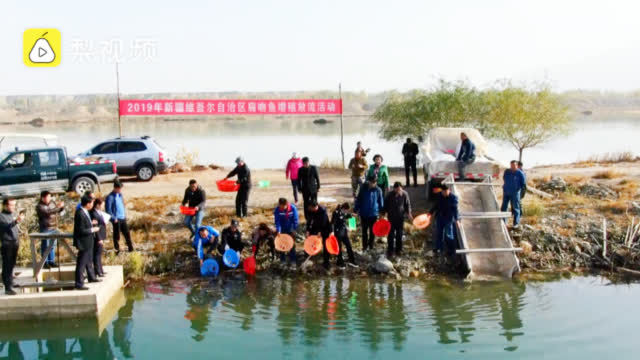 放流鱼苗二年后 5bfa-ihuuxut7118096.jpg