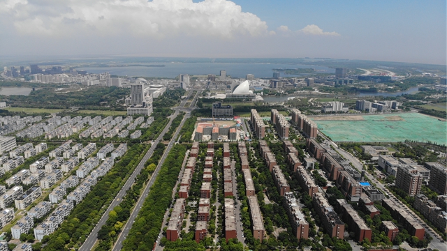 博猫一分彩走势图 女子错过站迁怒击打公交车司机,获刑四年