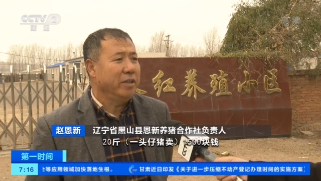 澳门白老虎娱乐 - 图集|男篮世界杯佛山首战!确定不是来“搞笑”的?