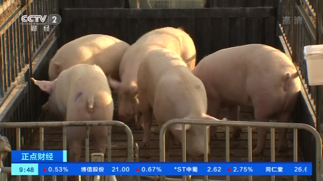 北京交朋友北京新发地市场猪肉降价 未来还会更