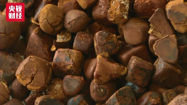 部分中药材涨价神秘直播 天然牛黄三年涨四倍